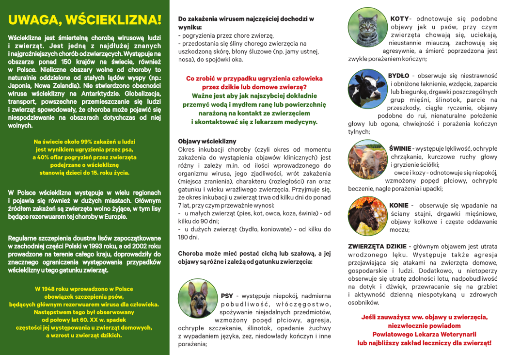 Zaszczep psa i kota przeciw wściekliźnie